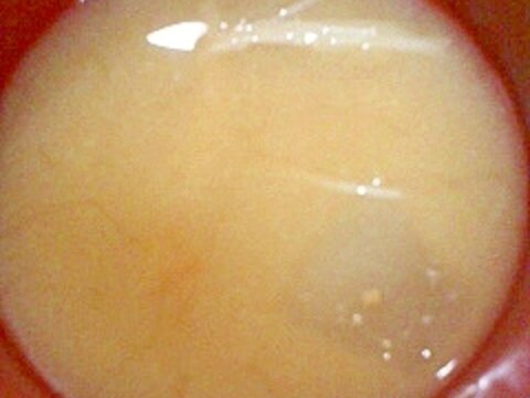 冬瓜ともやしの味噌汁